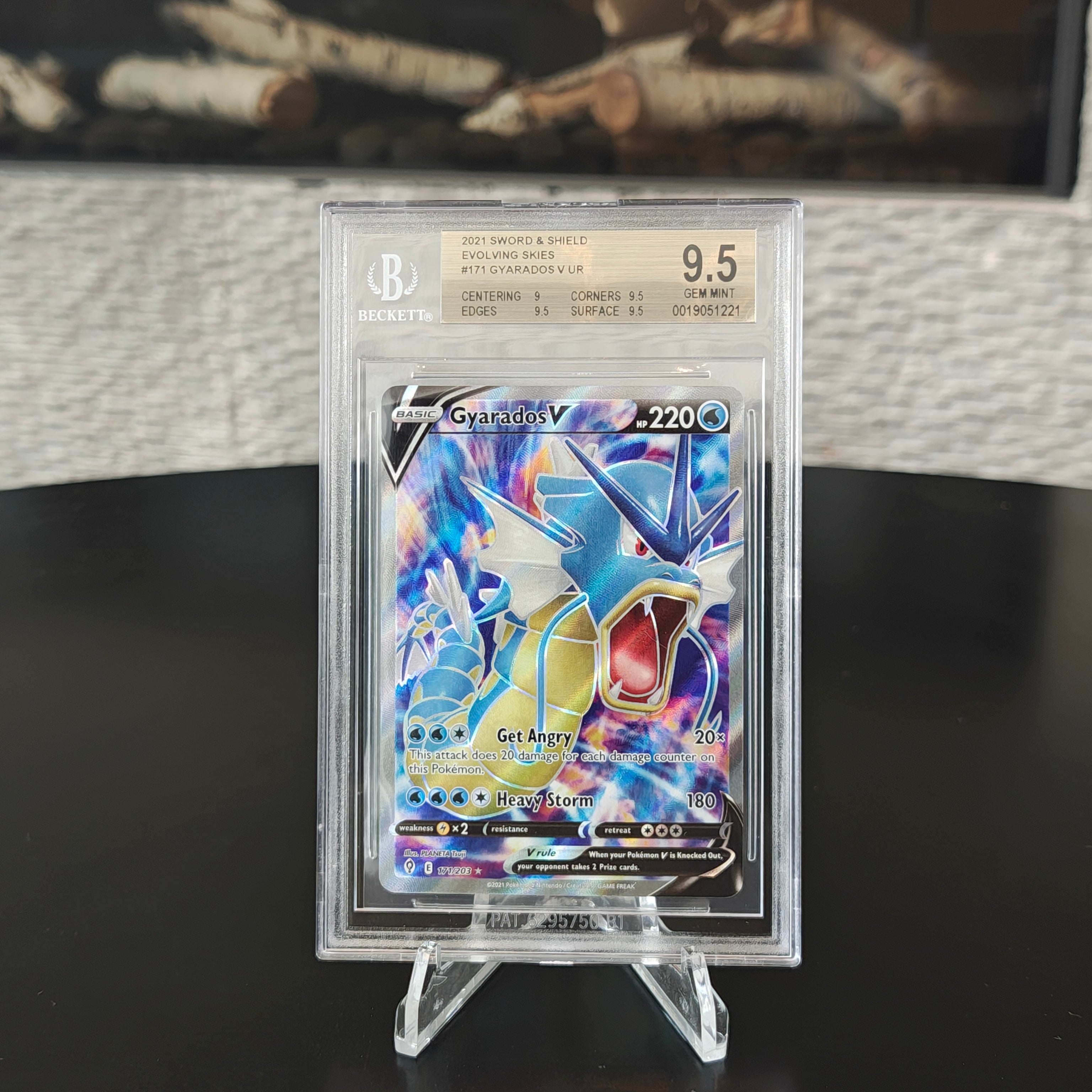 Gyarados V