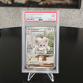 Cinccino