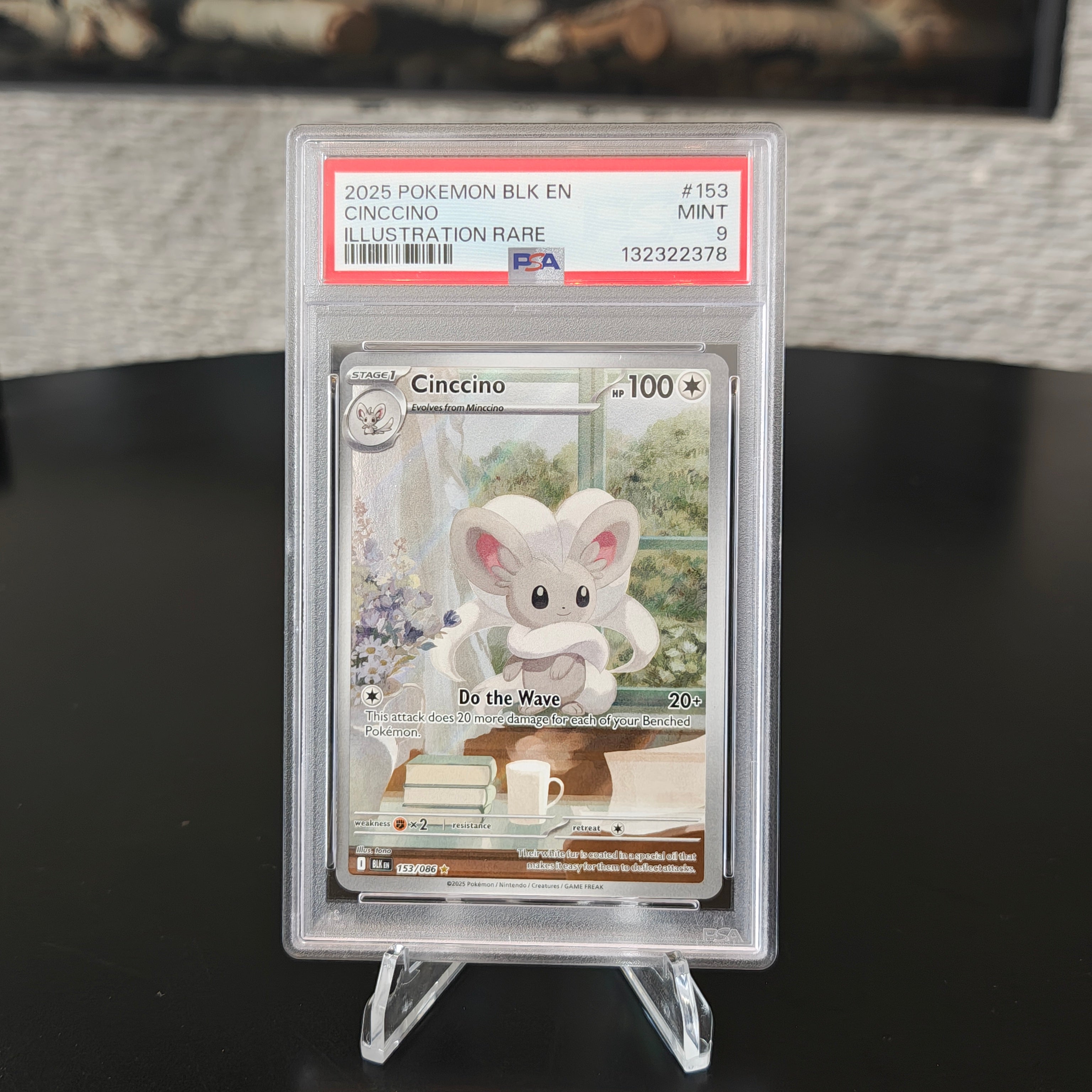 Cinccino